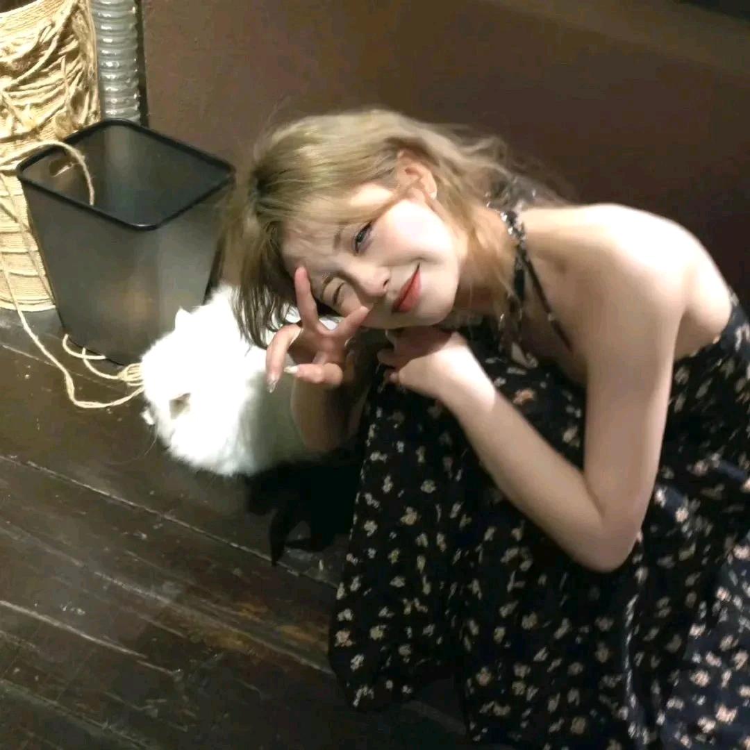 夕予.
