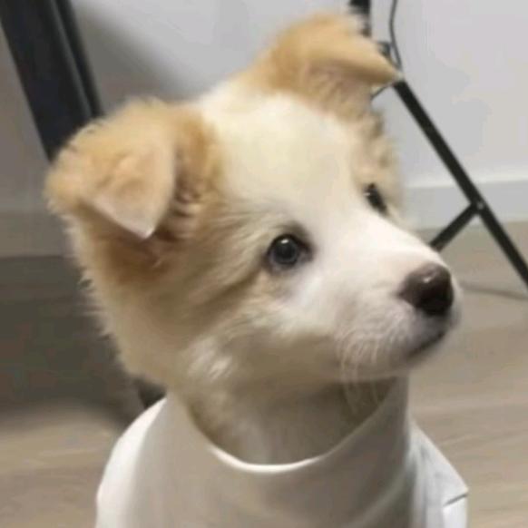 予期