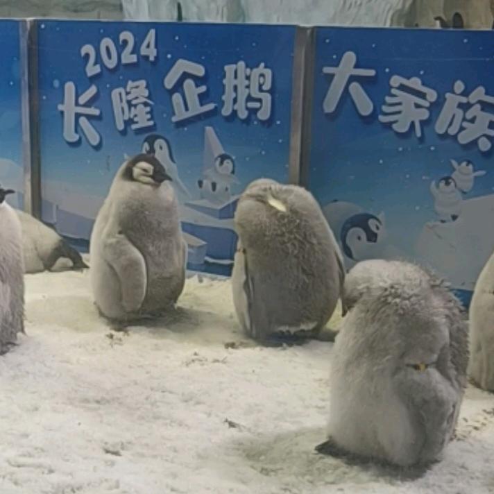 忘却服饰