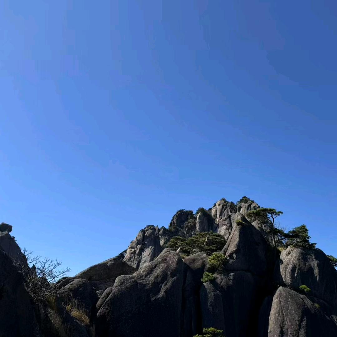 全欣优选