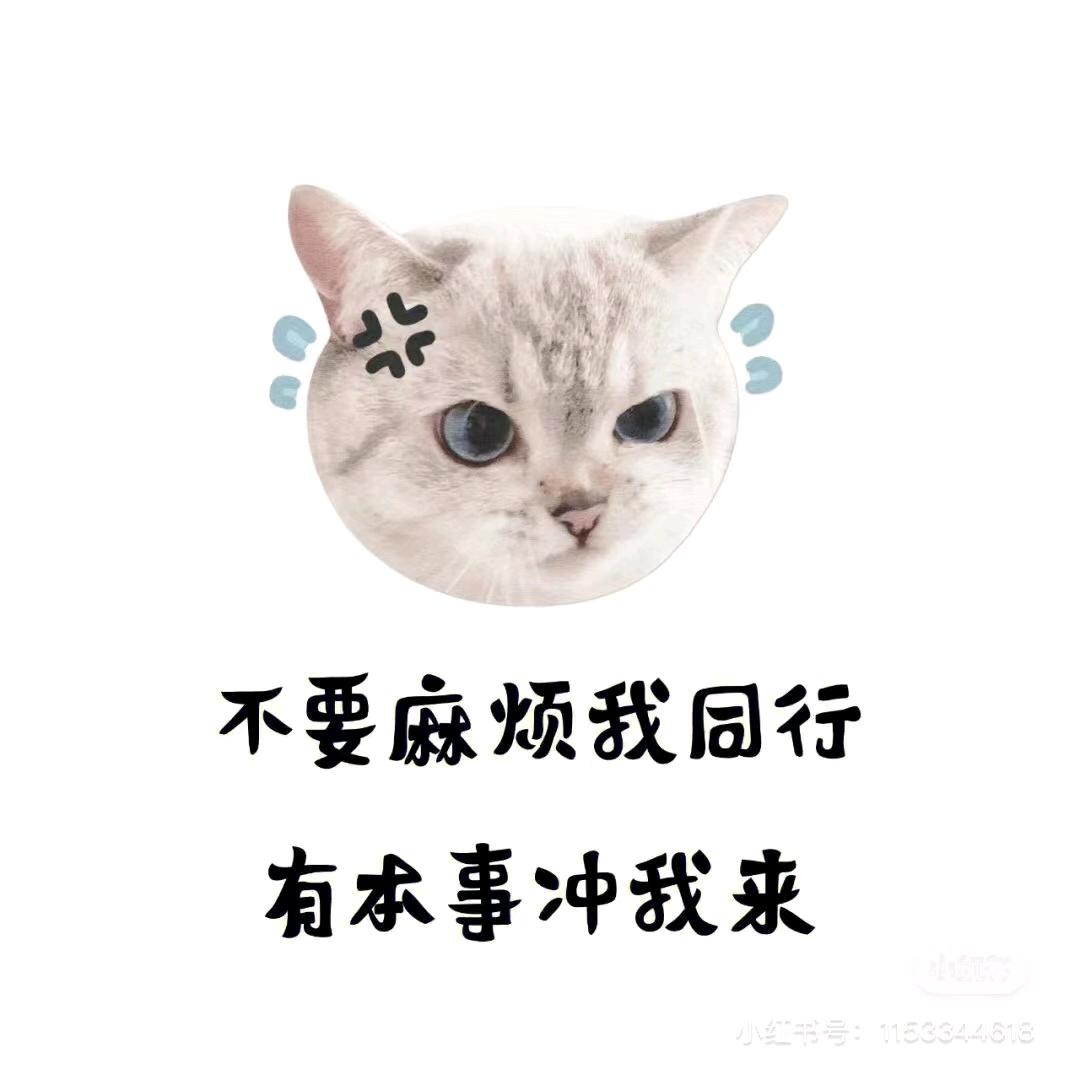 小包总