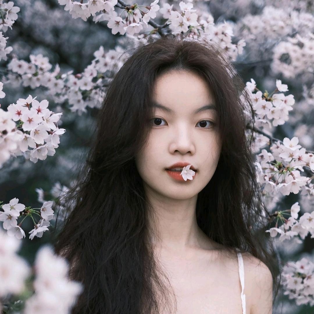 是飞飞呀