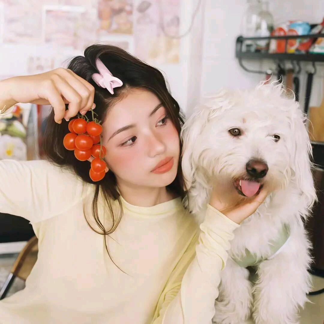 线 条 小 狗