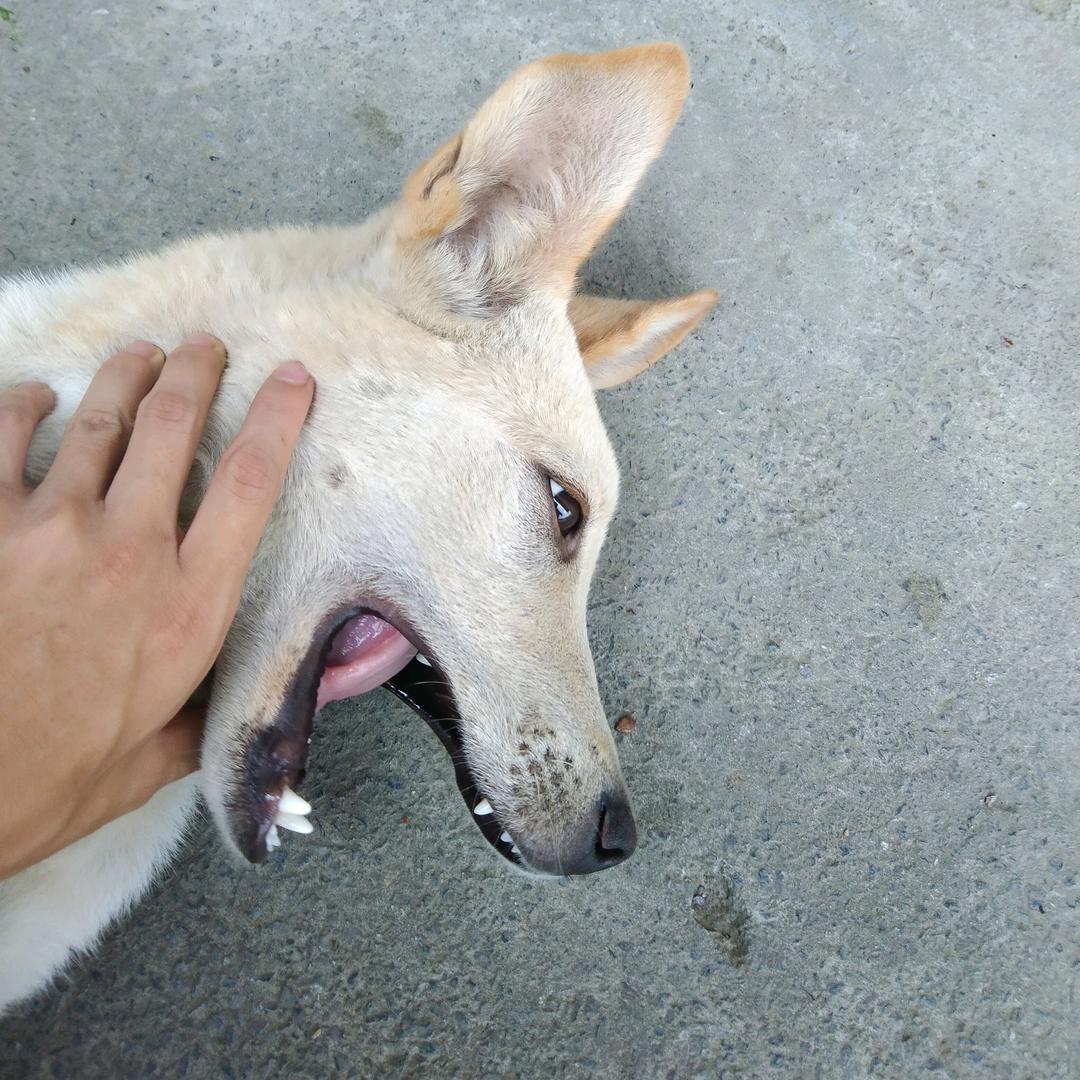 就你说是真的？