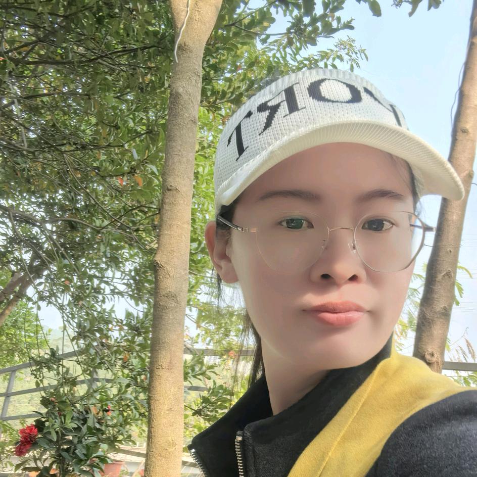 金凤小疆君- 奶果零食集-开发票
