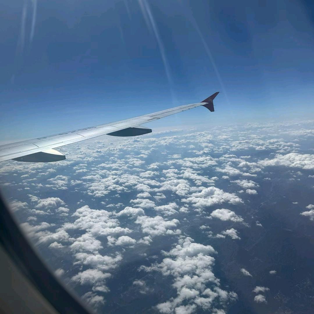 💕💕你若盛开，蝴蝶自来💫💫