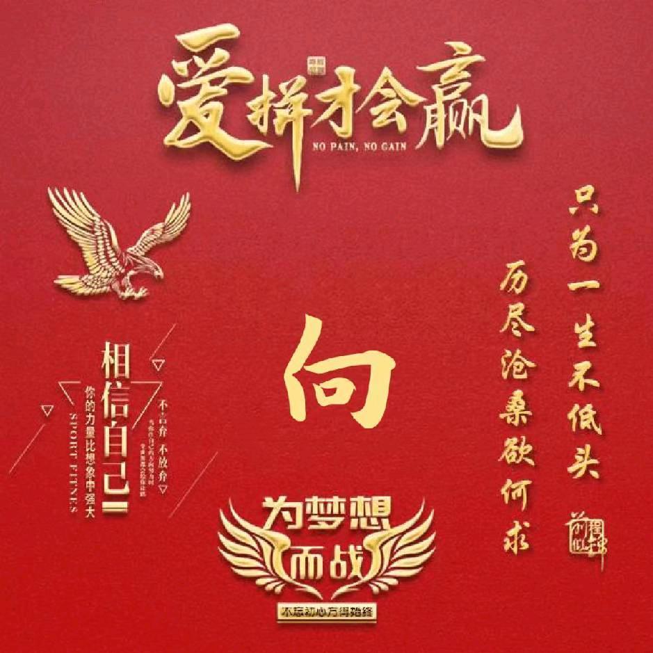 玉      兔🐇