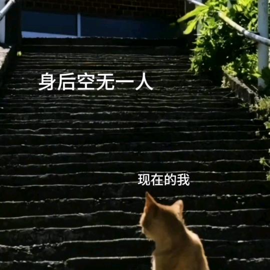 乏味的人生