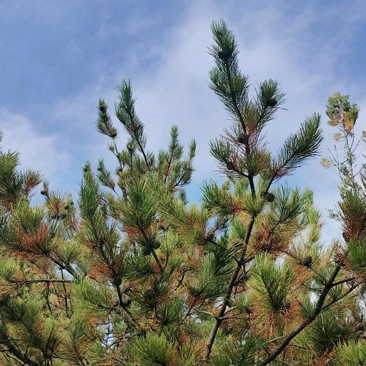 ꕥ᭄看淡一切🍓ꦿᩚ࿐