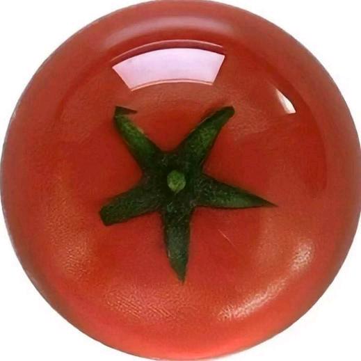 番茄大将军🍅