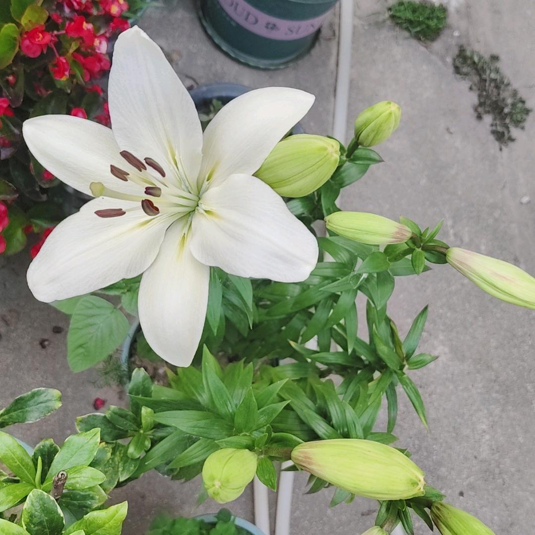 欣涵然爱你哟