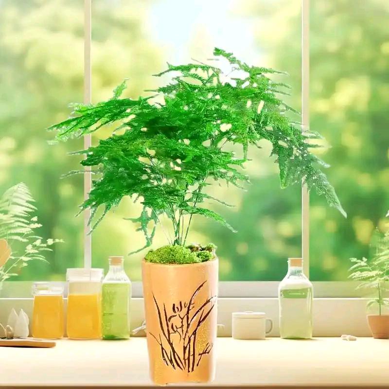 金森