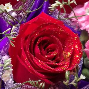 贵阳花溪程氏郭场鸡火锅🌹娟子