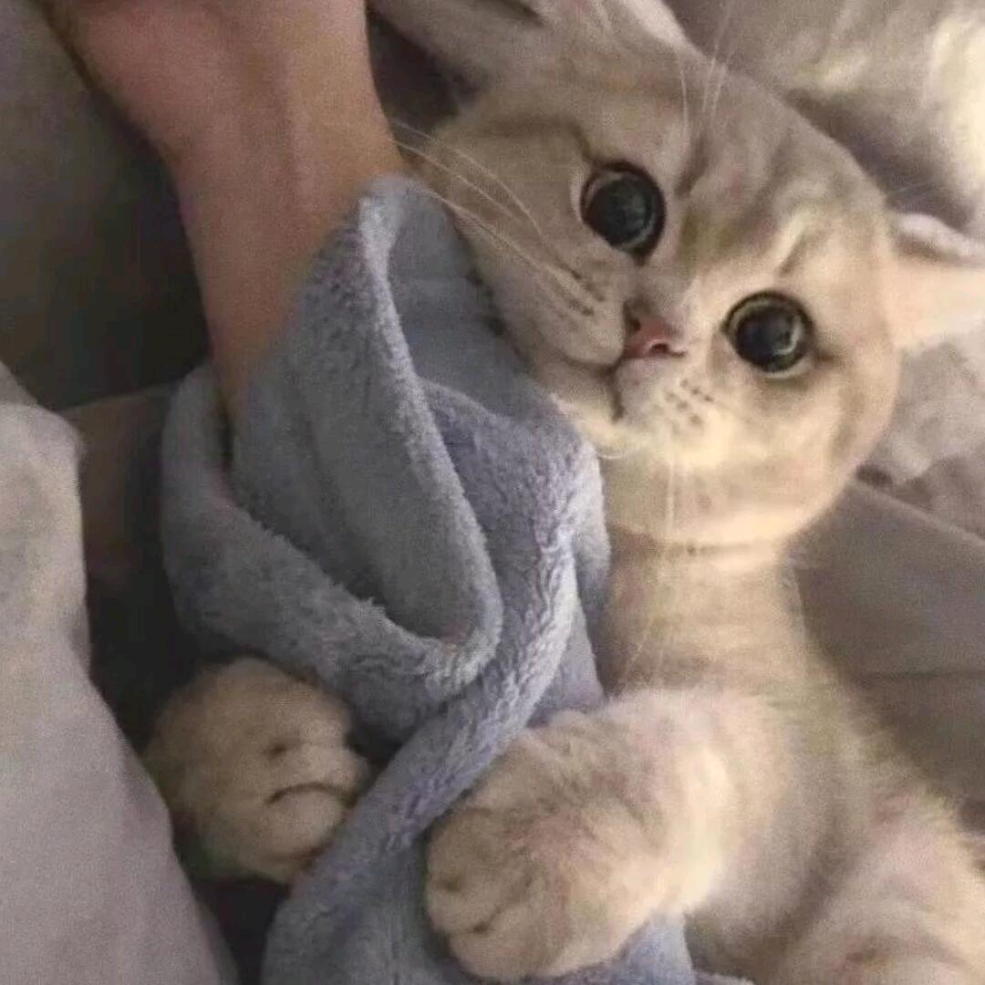yyyyyx