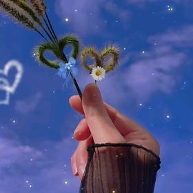 镇巴出租车莉姐