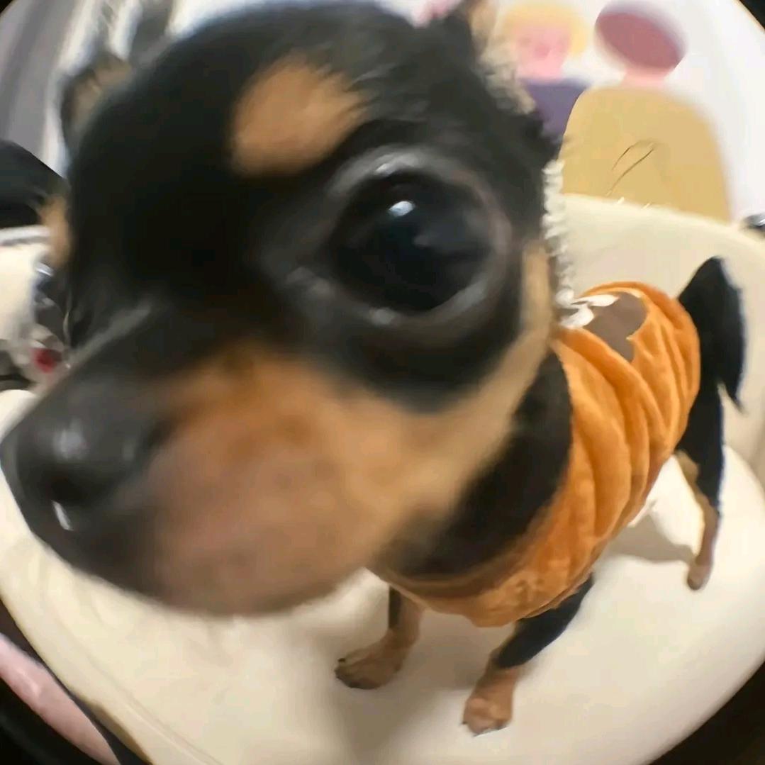 弦一