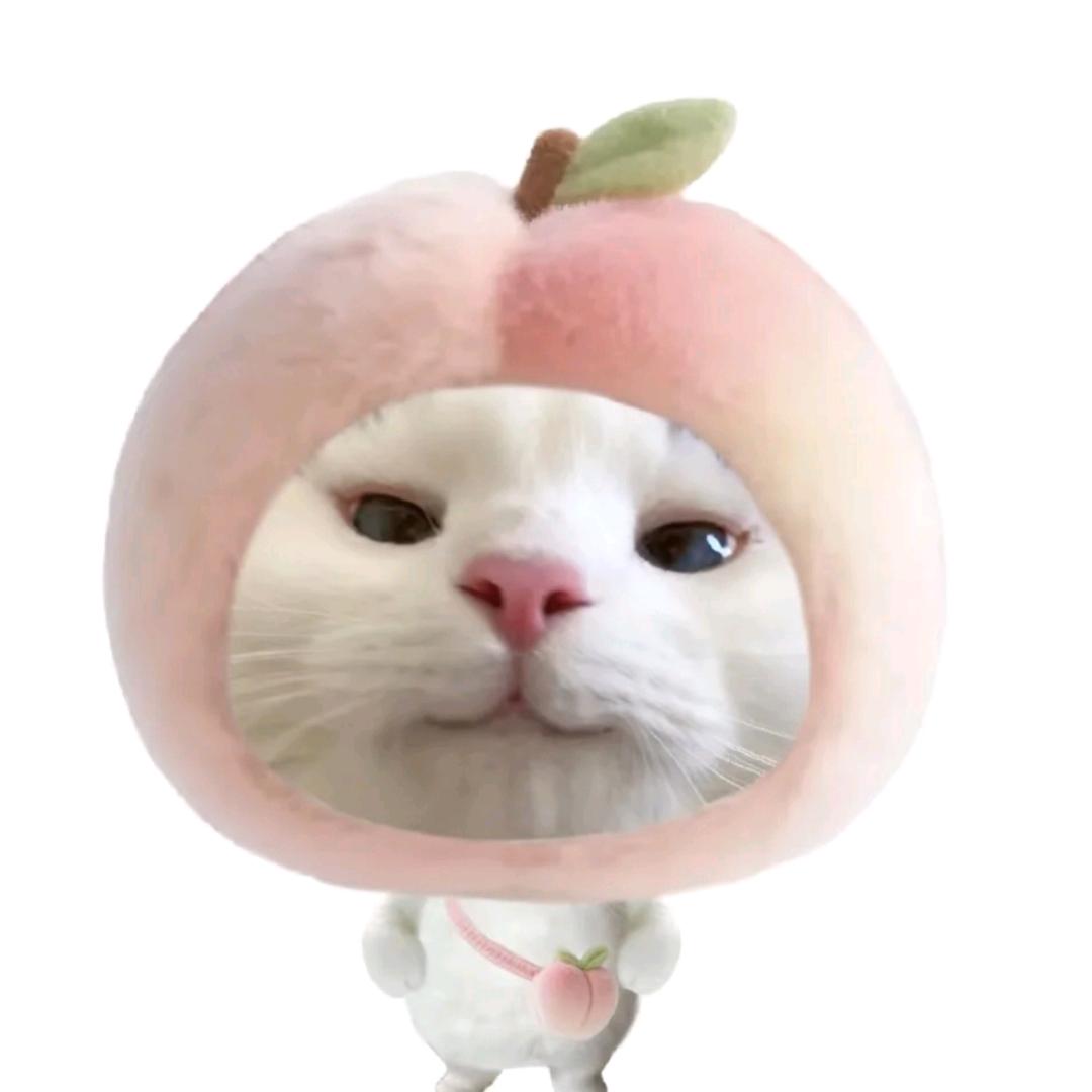 钓逸条萧鱼