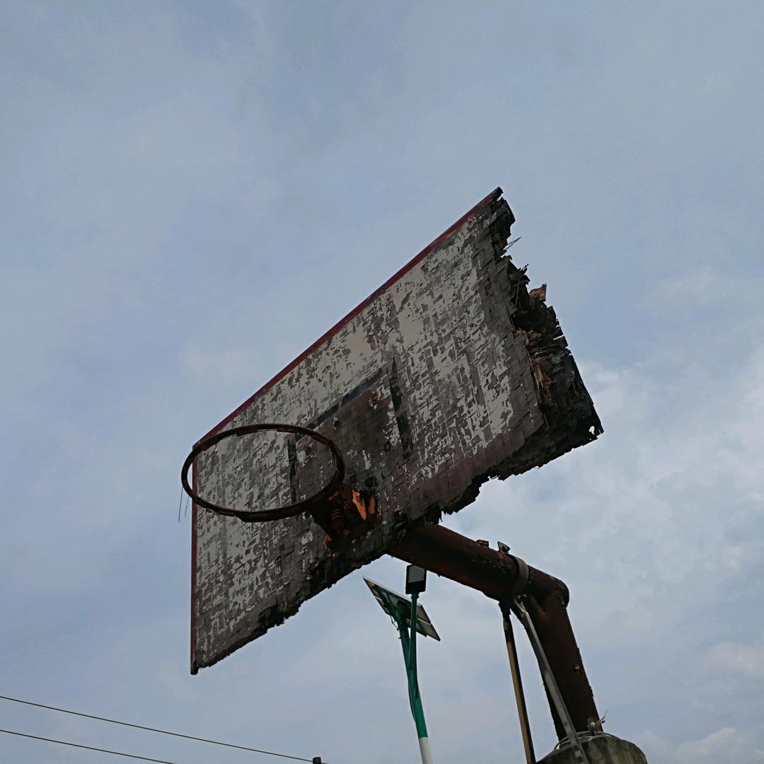 汉斯