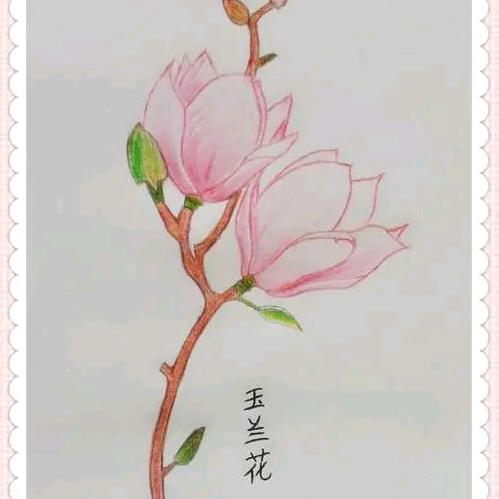 伊洛婚礼