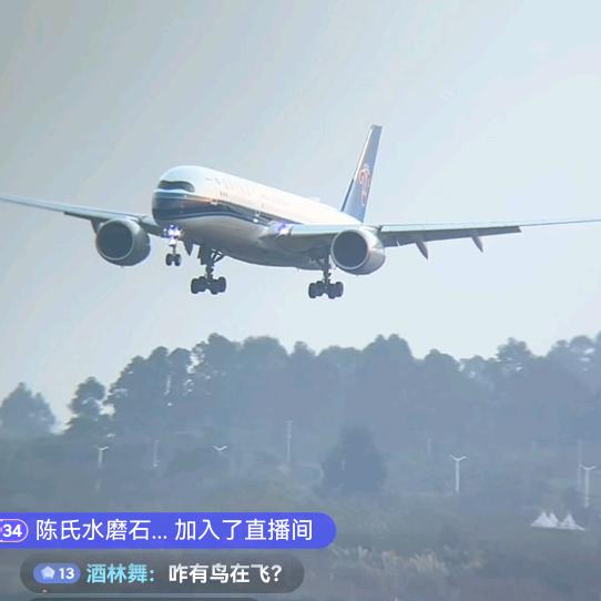 小蔡