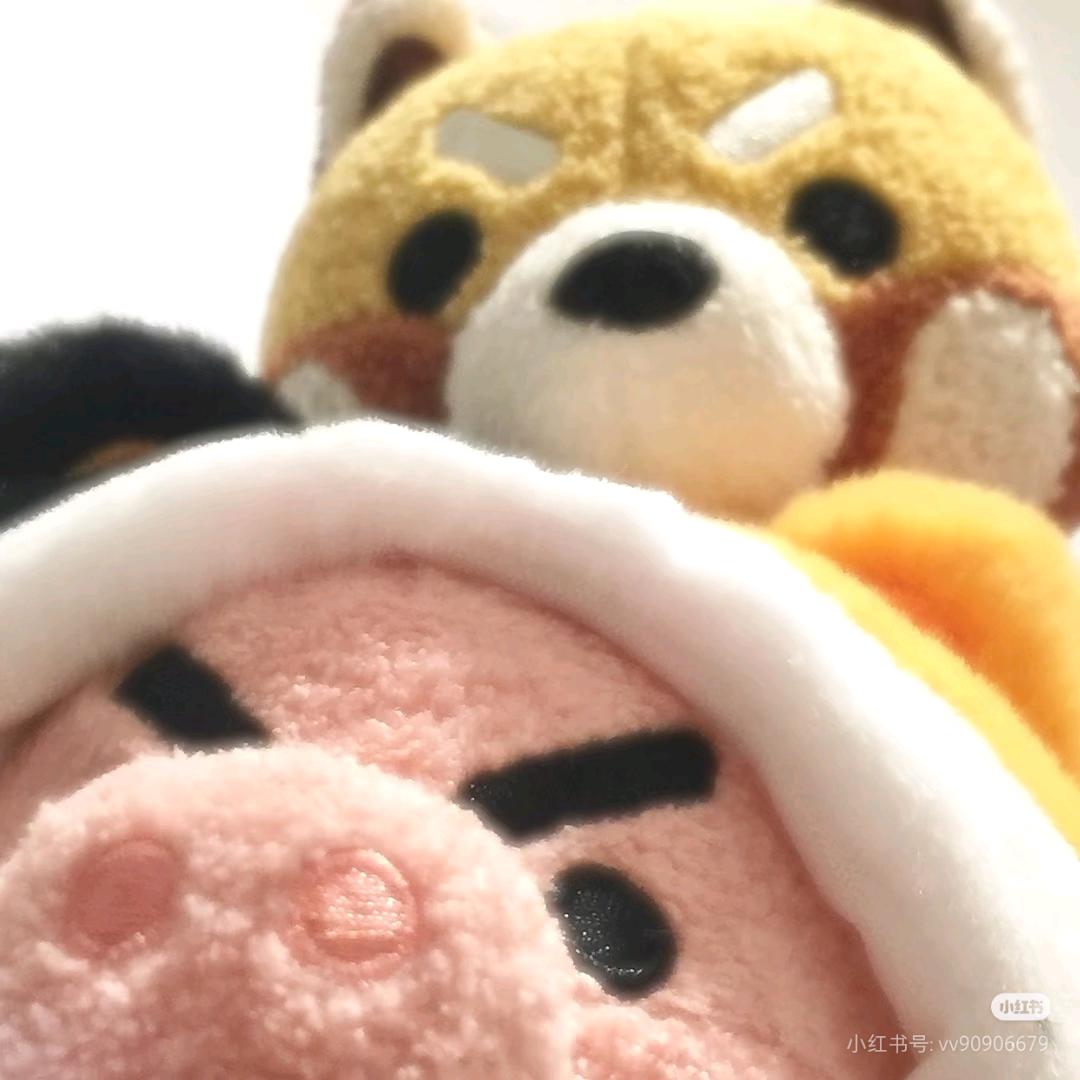 ⁺⊹ꉂ  ᳐˶ᵒ ᵕ ˂˶  ᳐ฅ໑ ₊