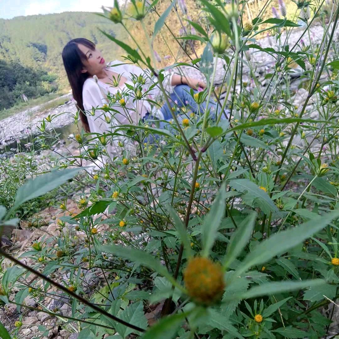 ^～^风与李✿▽