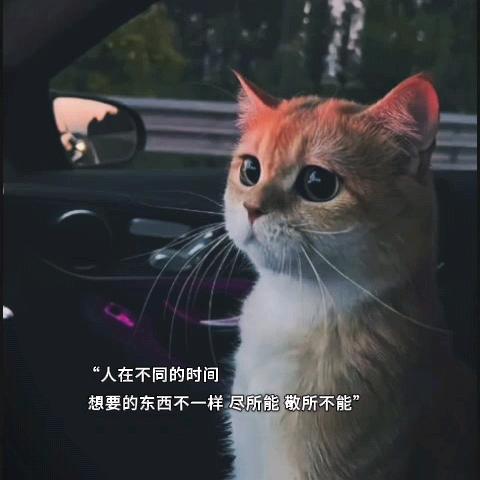 𝓟𝓮𝓻𝓲⚝: 𝓔𝓲𝓽𝓱