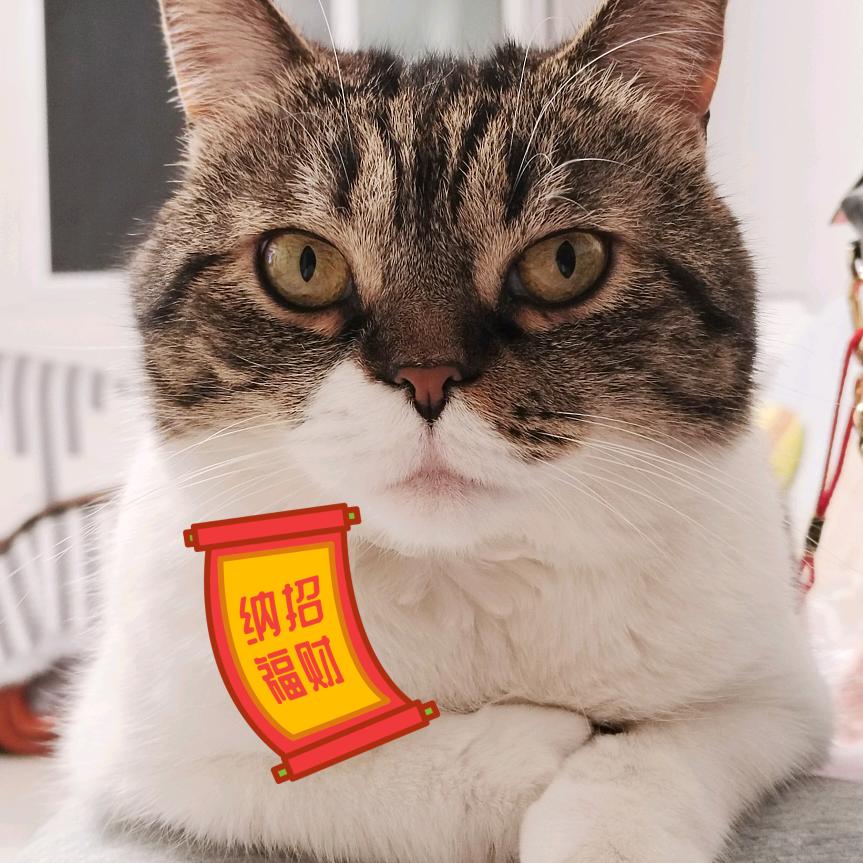 惠萱