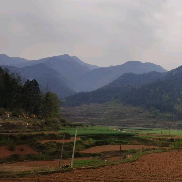 乡野生活（年哥）