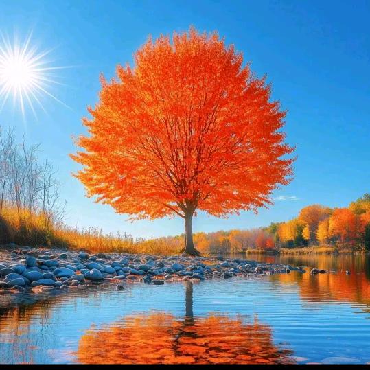 做衣服的小姐姐