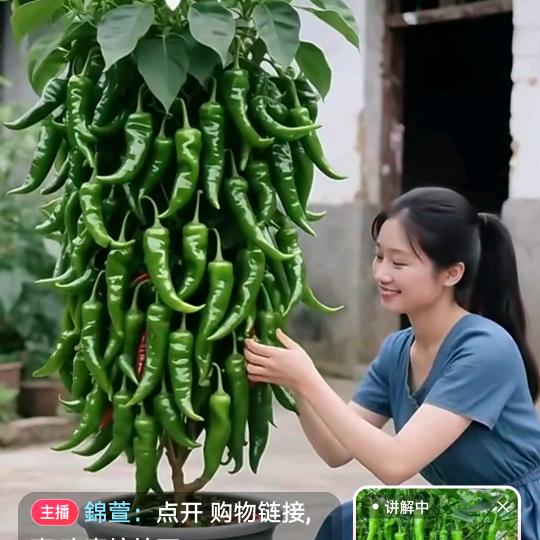 开心快乐