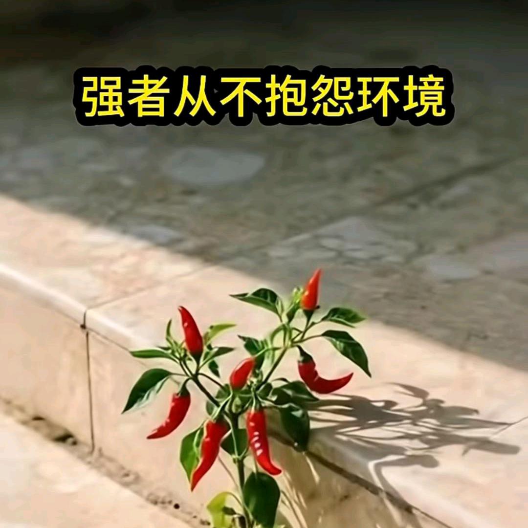 往事归零