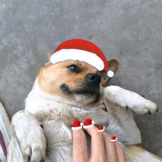 混的R/。