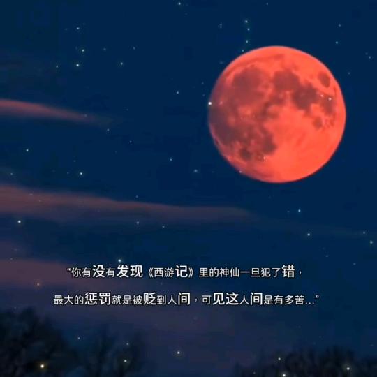@麻瓜人类