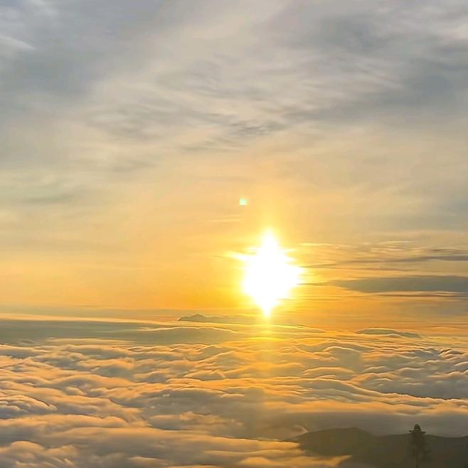 楠楠☀
