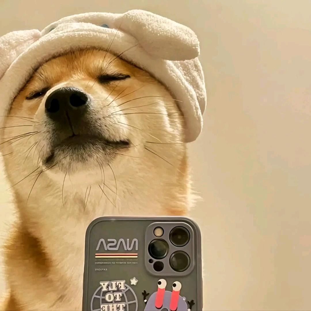 南风知我意