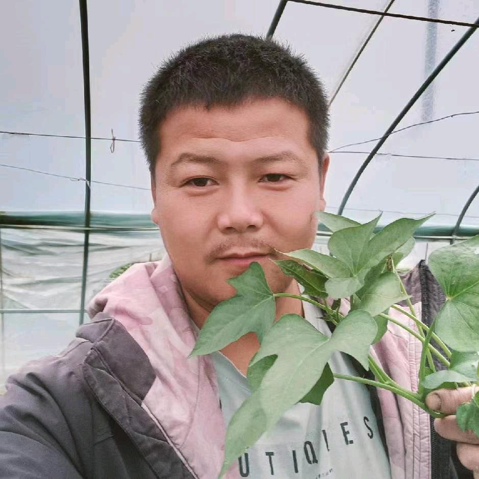 长葛市辰曦种植场（个体工商户）