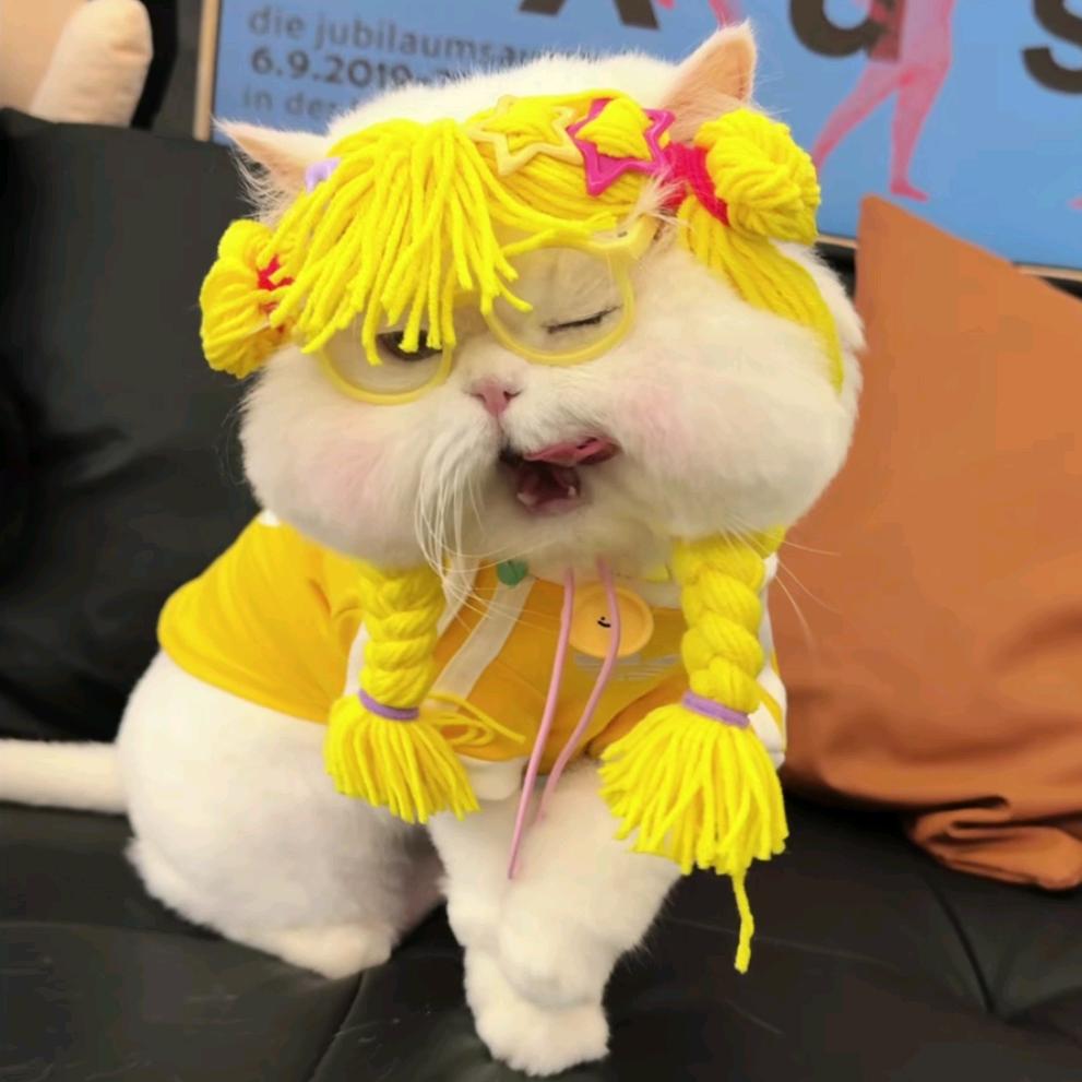 椰奶果冻