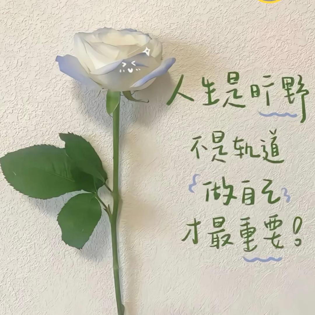 🥀᭄悦꧔ꦿᩚ己ꦿྀ💕