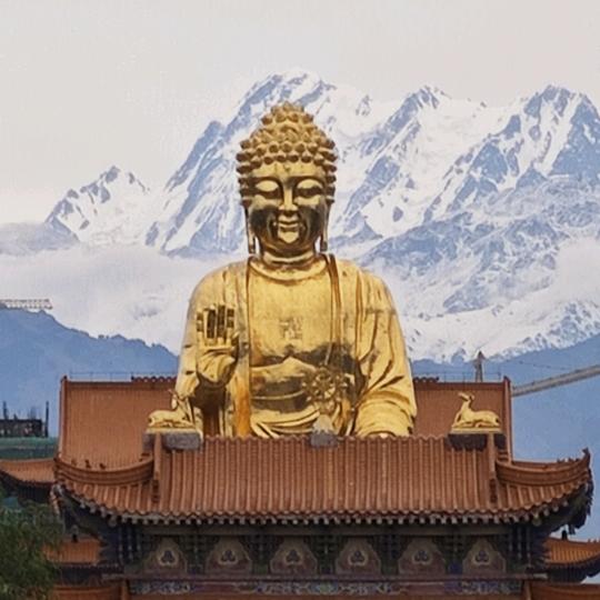 靓仔本仔