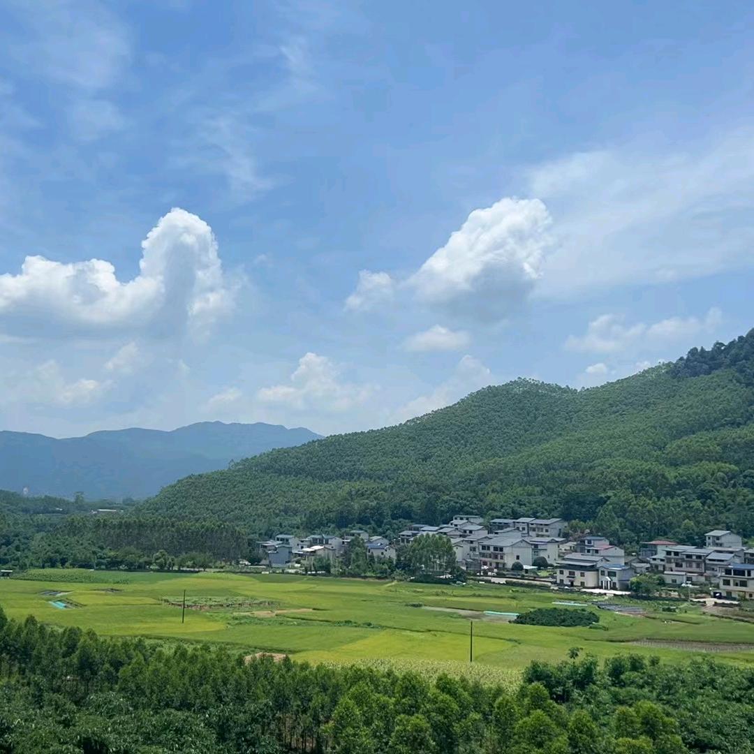 简单的幸福