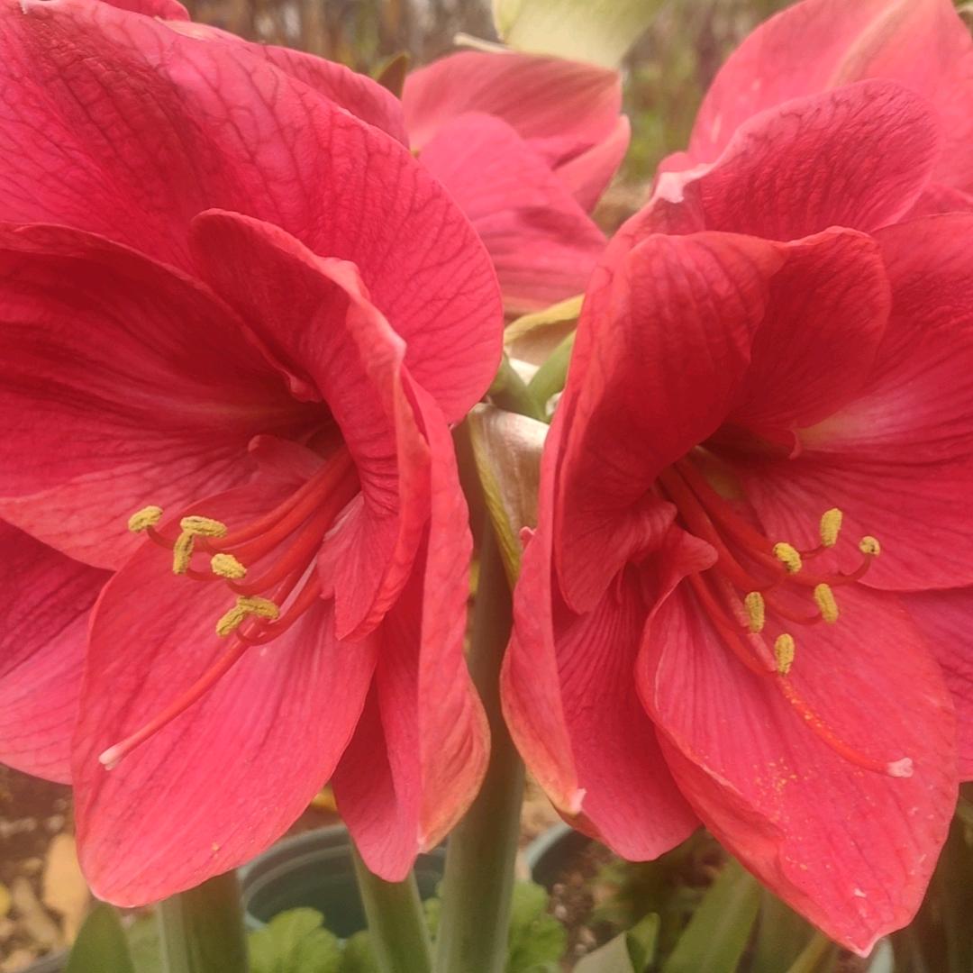 70后的阳光姐姐