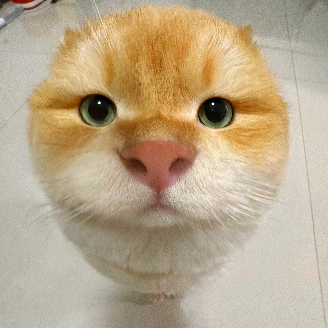 逸霖