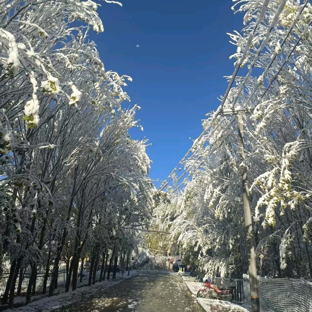 💔مۇزلىہغٱن قےلىہپ💔