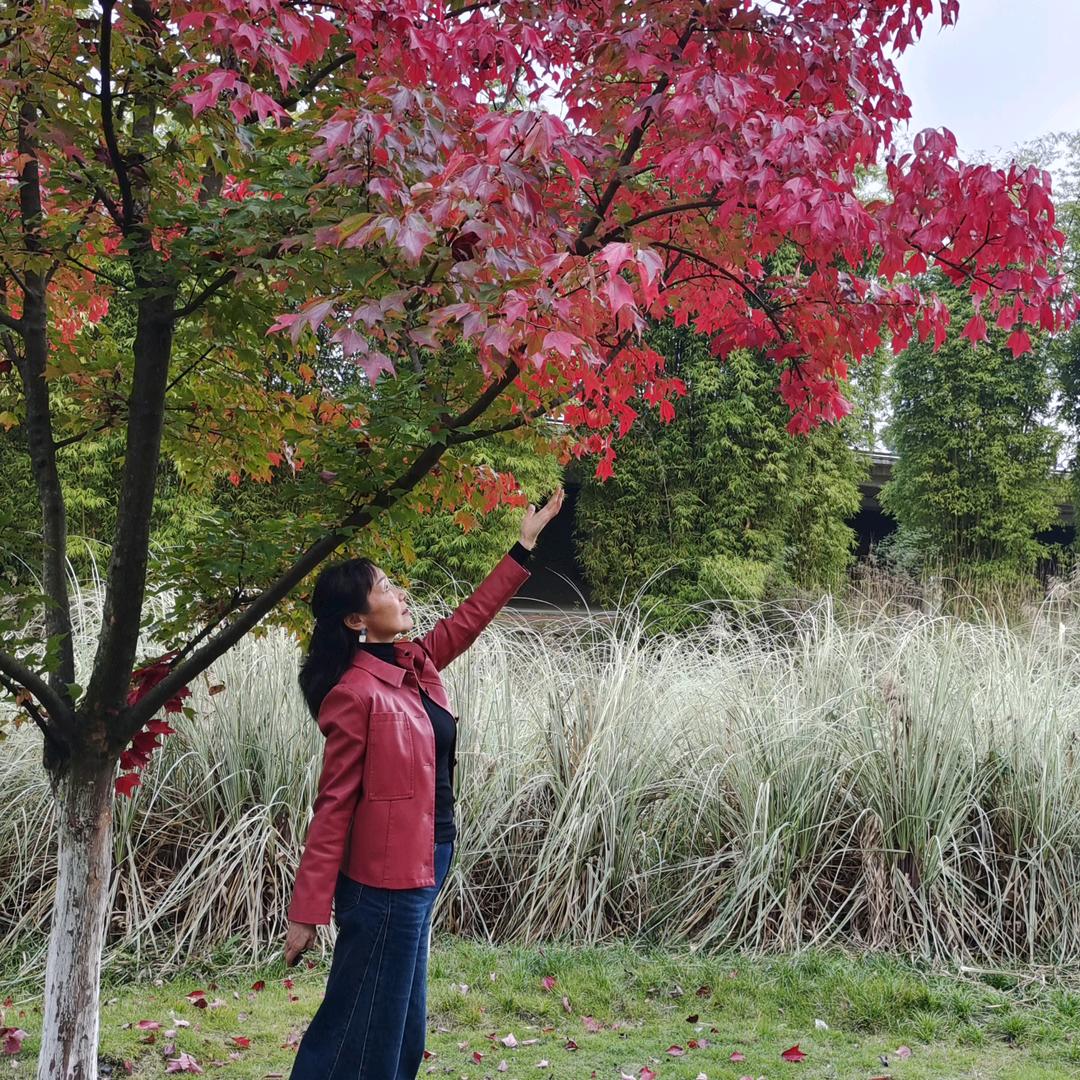 心有灵犀