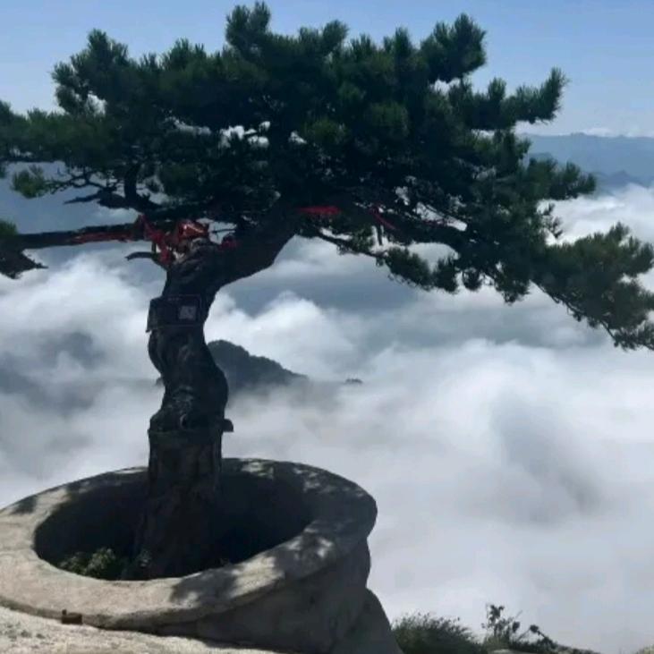 悠悠岁月不饶人