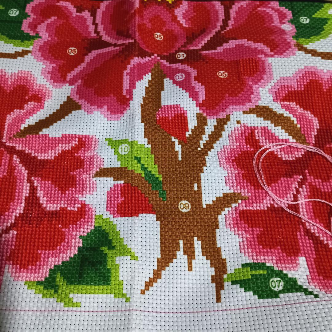美丽花朵