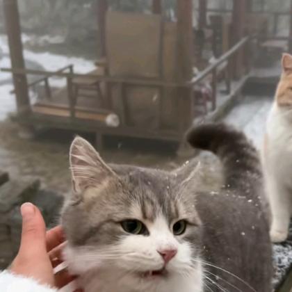 福善港好物分享