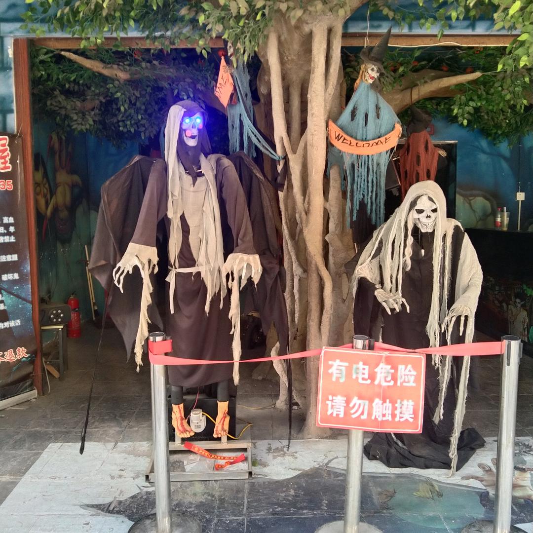 ღ🌻⁵²⁰李᭄ꦿ࿐໌