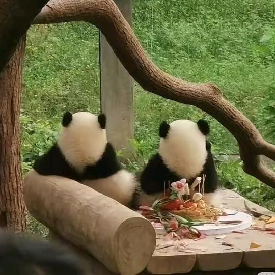 悠然🍀